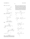 MODULATORS OF PHARMACOKINETIC PROPERTIES OF THERAPEUTICS diagram and image