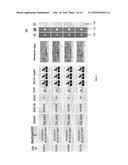 SYSTEM AND METHODS FOR REMOTE MONITORING diagram and image