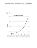 MAGNIFICATION INTERFACE WITH INDEPENDENT POINTER SIZING diagram and image