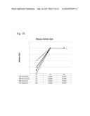 MAGNIFICATION INTERFACE WITH INDEPENDENT POINTER SIZING diagram and image