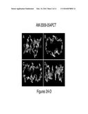 METHOD FOR BINDING SITE IDENTIFICATION BY MOLECULAR DYNAMICS SIMULATION     (SILCS: SITE IDENTIFICATION BY LIGAND COMPETITIVE SATURATION) diagram and image