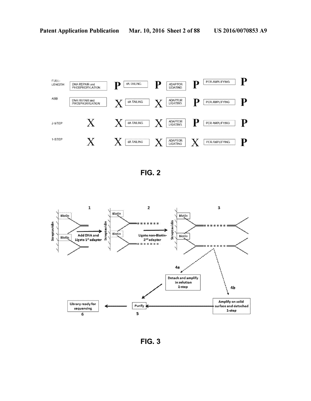 DETECTING AND CLASSIFYING COPY NUMBER VARIATION - diagram, schematic, and image 04