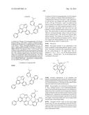 ORGANIC ELECTROLUMINESCENT MATERIALS AND DEVICES diagram and image