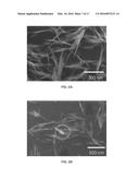 METHOD OF PRODUCING ELECTRICALLY CONDUCTIVE POLYMER AND CELLULOSE     NANOCOMPOSITES diagram and image