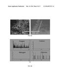 METHOD OF PRODUCING ELECTRICALLY CONDUCTIVE POLYMER AND CELLULOSE     NANOCOMPOSITES diagram and image