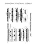 Process for placing, securing and interconnecting electronic components diagram and image