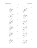 SAFENED HERBICIDAL COMPOSITIONS COMPRISING A PYRIDINE CARBOXYLIC ACID     HERBICIDE diagram and image