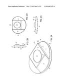 INTERVERTEBRAL DISC diagram and image