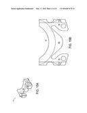 INTERVERTEBRAL DISC diagram and image