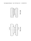 INTERVERTEBRAL DISC diagram and image