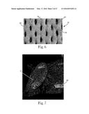 Absorbent Articles diagram and image