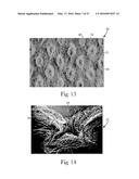 Absorbent Articles diagram and image