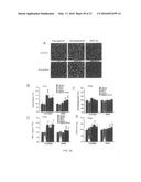 METHODS OF STIMULATING CELLULAR GROWTH, SYNAPTIC REMODELING AND     CONSOLIDATION OF LONG-TERM MEMORY diagram and image