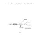 Histidine and/or Histidine Derivative for the Treatment of Inflammatory     Skin Diseases diagram and image