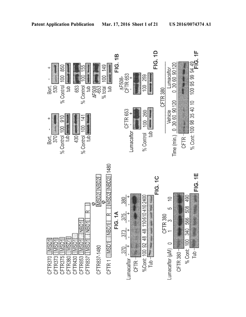 CORRECTORS ACTING THROUGH MSD1 OF CFTR PROTEIN - diagram, schematic, and image 02