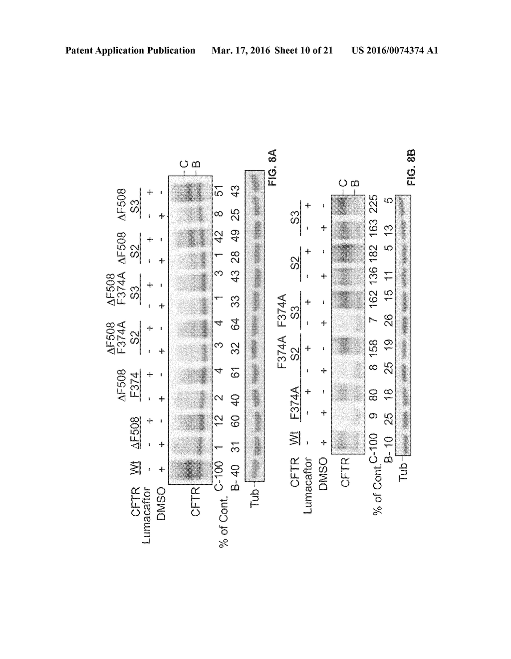 CORRECTORS ACTING THROUGH MSD1 OF CFTR PROTEIN - diagram, schematic, and image 11