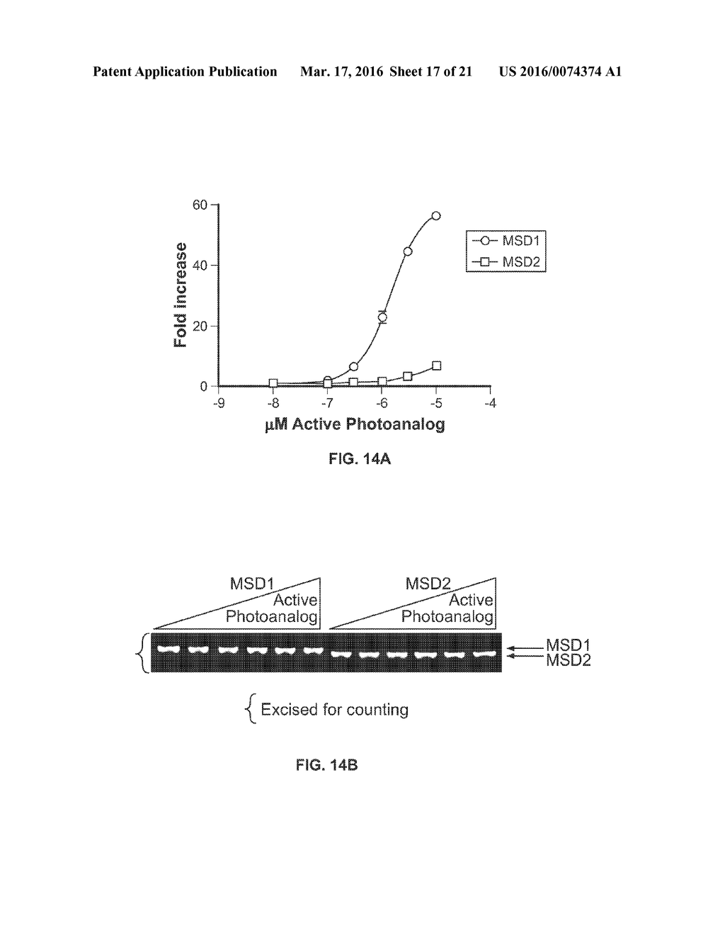 CORRECTORS ACTING THROUGH MSD1 OF CFTR PROTEIN - diagram, schematic, and image 18