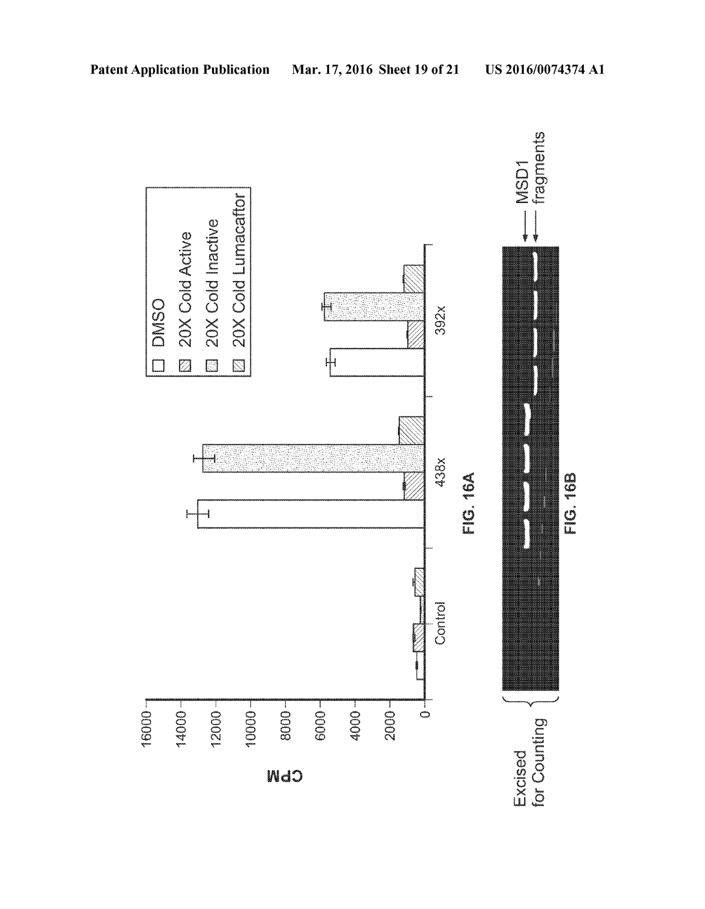 CORRECTORS ACTING THROUGH MSD1 OF CFTR PROTEIN - diagram, schematic, and image 20