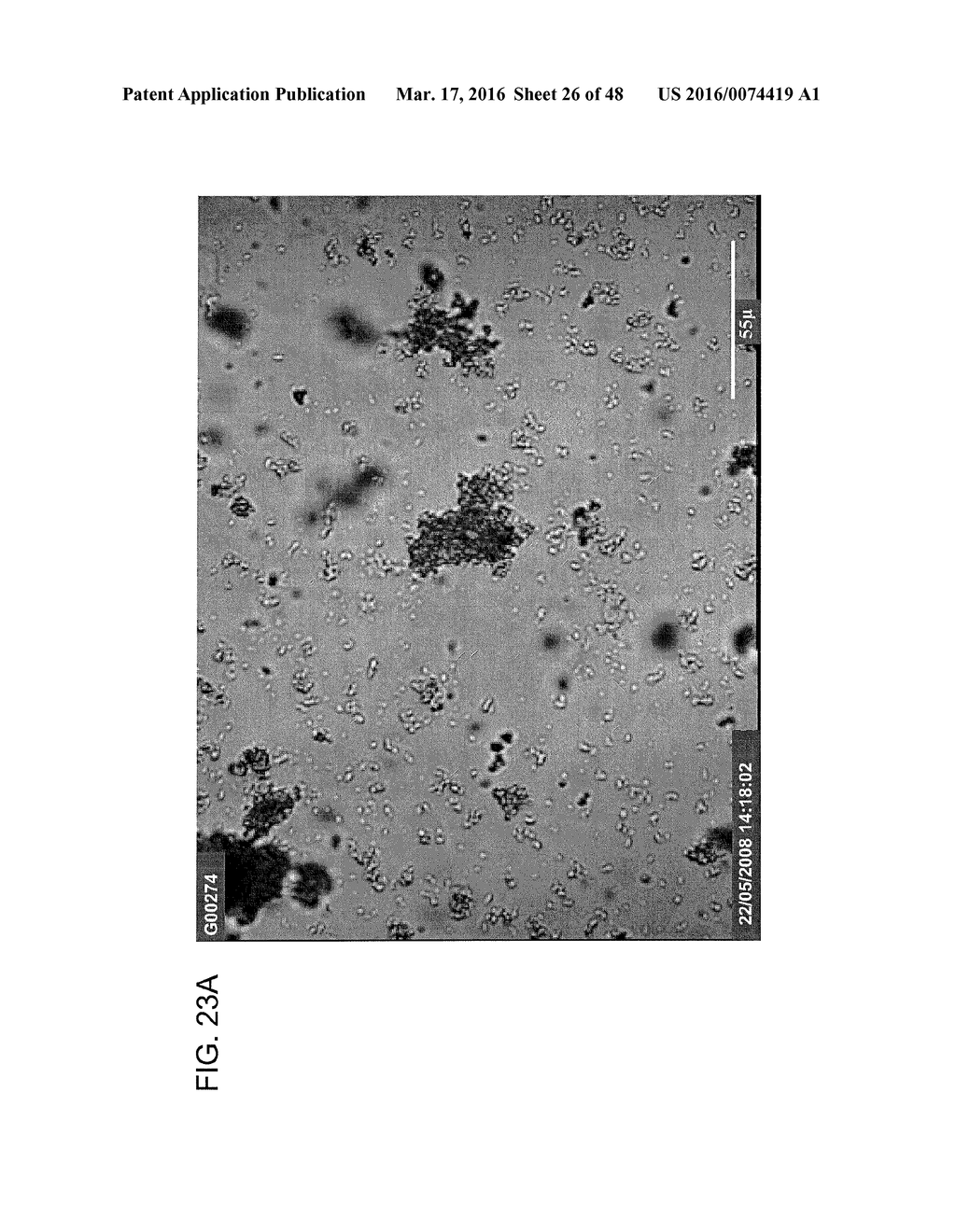 Preparation and Uses of Obeticholic Acid - diagram, schematic, and image 27