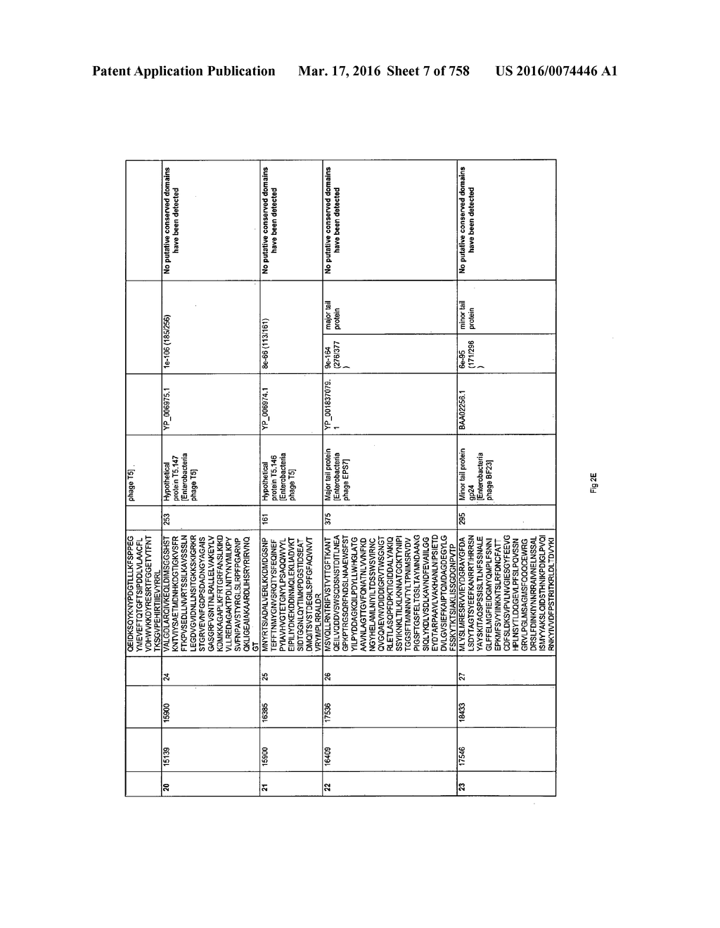 Antibacterial Phage, Phage Peptides And Methods Of Use Thereof - diagram, schematic, and image 08