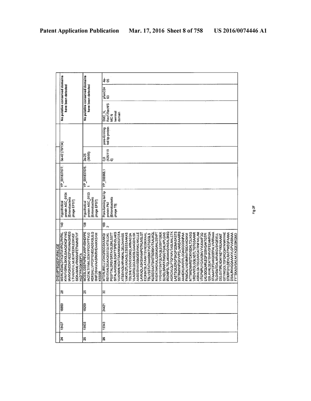 Antibacterial Phage, Phage Peptides And Methods Of Use Thereof - diagram, schematic, and image 09