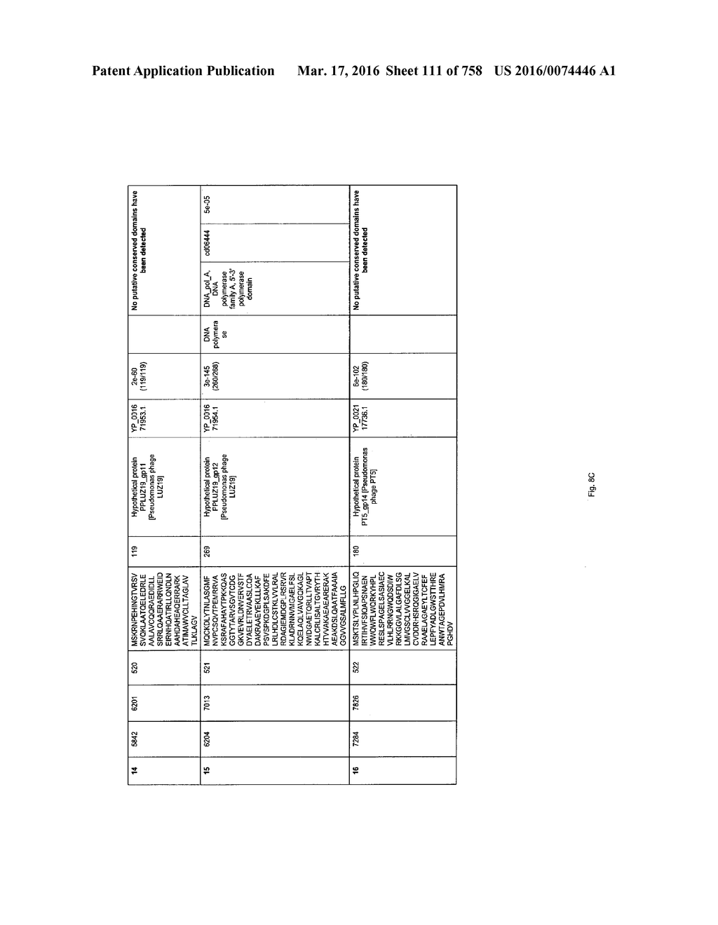 Antibacterial Phage, Phage Peptides And Methods Of Use Thereof - diagram, schematic, and image 112