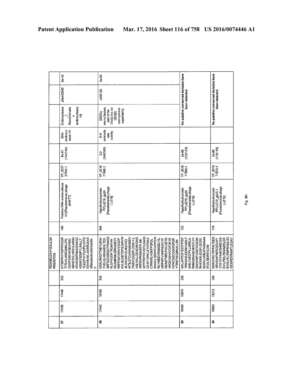 Antibacterial Phage, Phage Peptides And Methods Of Use Thereof - diagram, schematic, and image 117