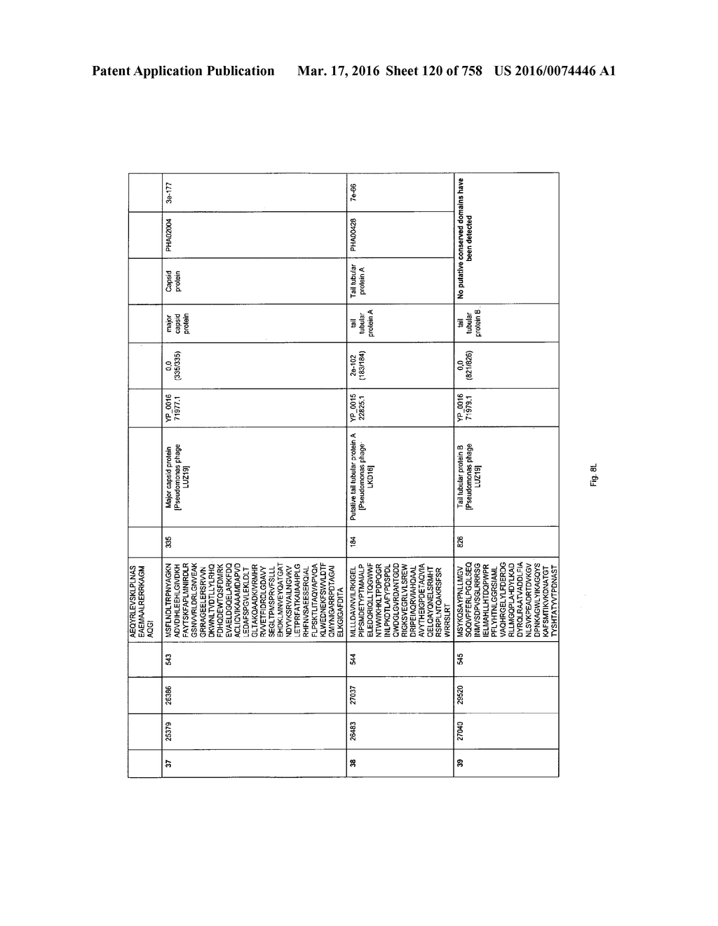 Antibacterial Phage, Phage Peptides And Methods Of Use Thereof - diagram, schematic, and image 121