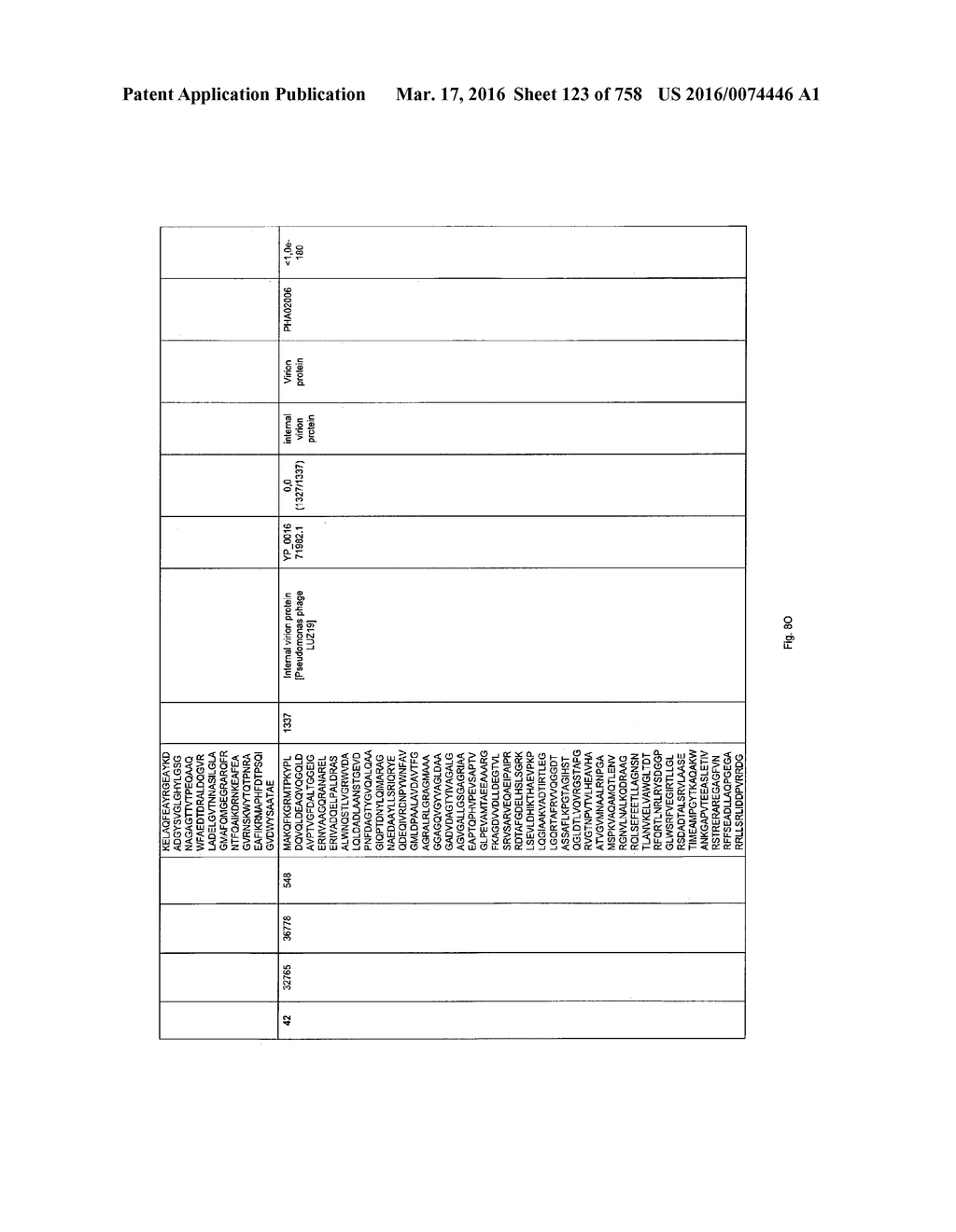 Antibacterial Phage, Phage Peptides And Methods Of Use Thereof - diagram, schematic, and image 124