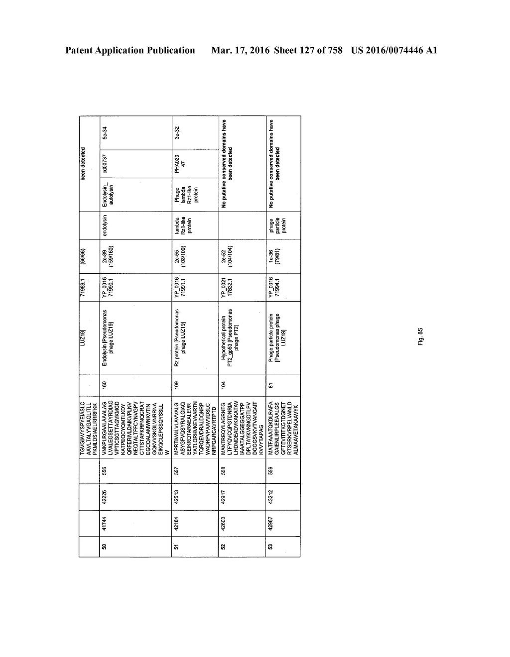 Antibacterial Phage, Phage Peptides And Methods Of Use Thereof - diagram, schematic, and image 128