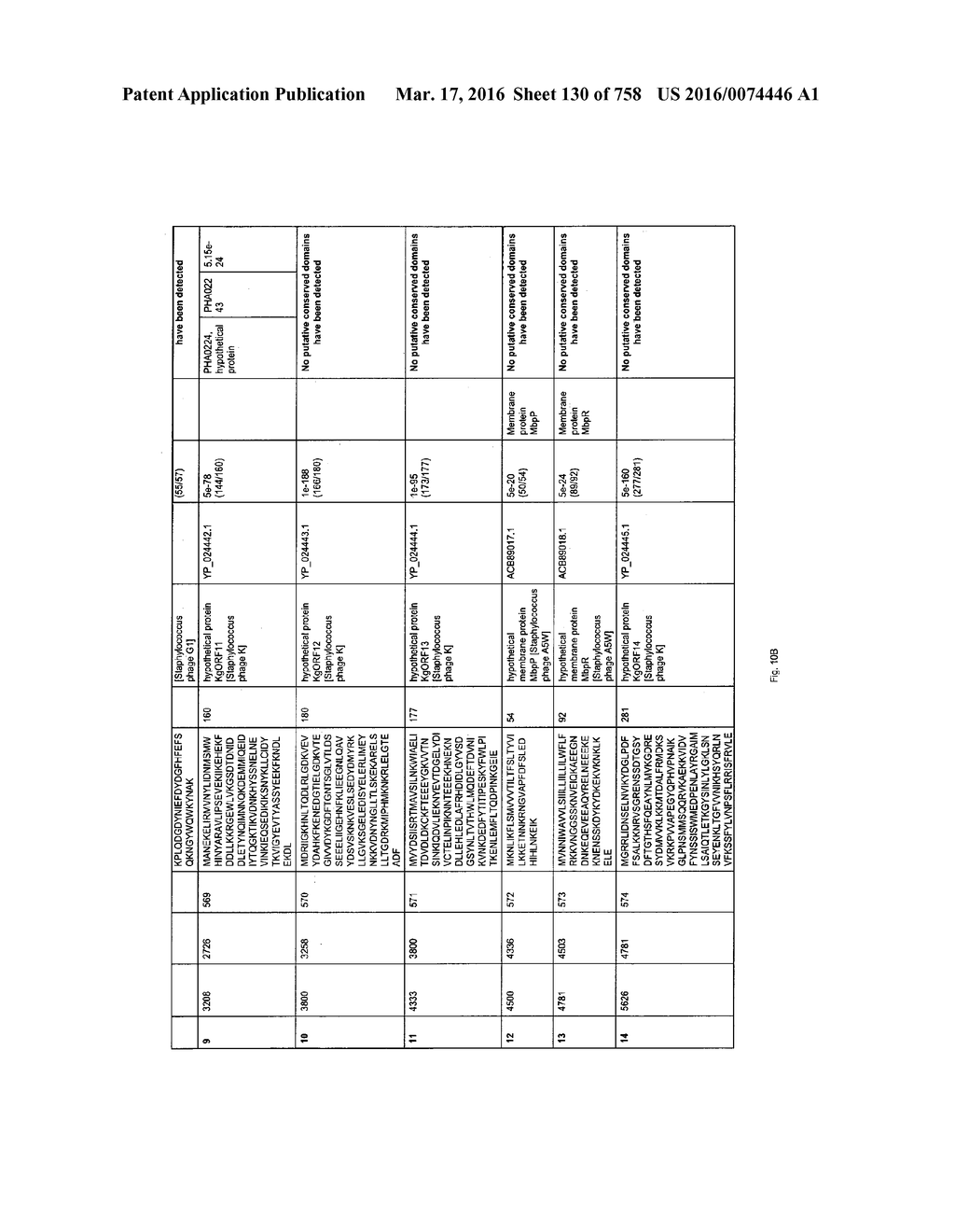 Antibacterial Phage, Phage Peptides And Methods Of Use Thereof - diagram, schematic, and image 131