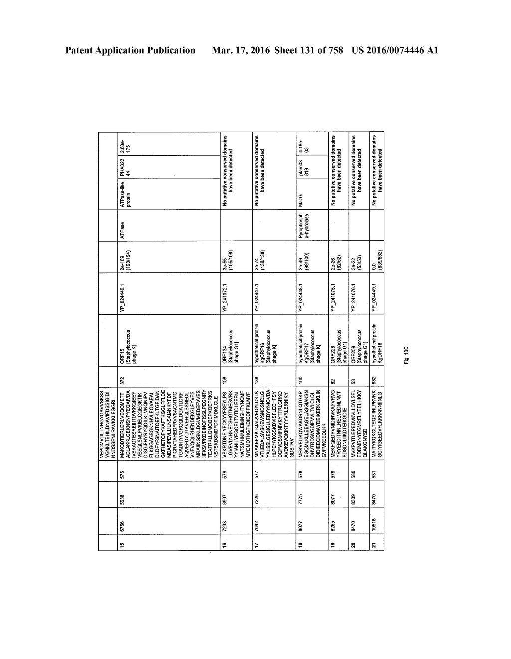 Antibacterial Phage, Phage Peptides And Methods Of Use Thereof - diagram, schematic, and image 132