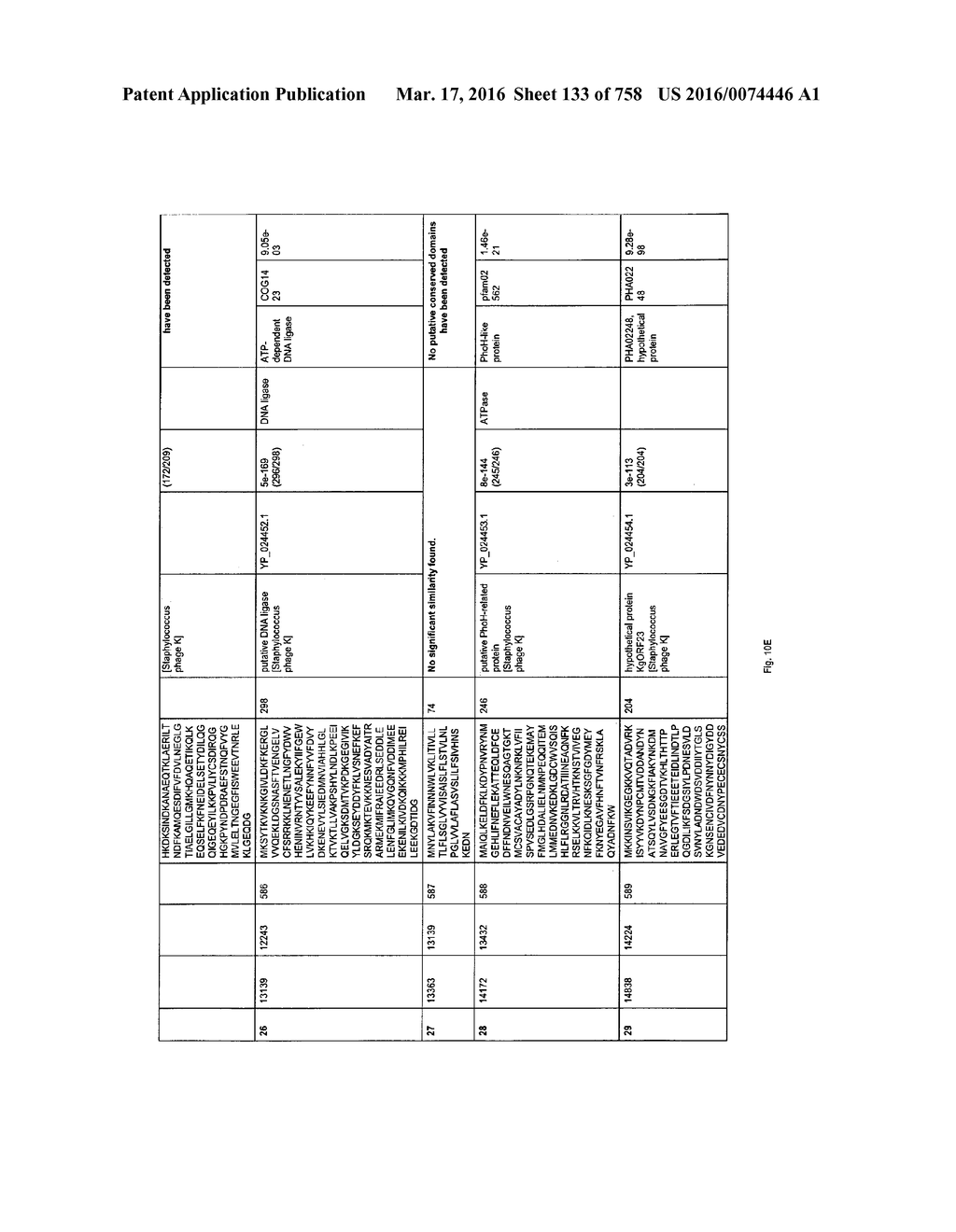 Antibacterial Phage, Phage Peptides And Methods Of Use Thereof - diagram, schematic, and image 134