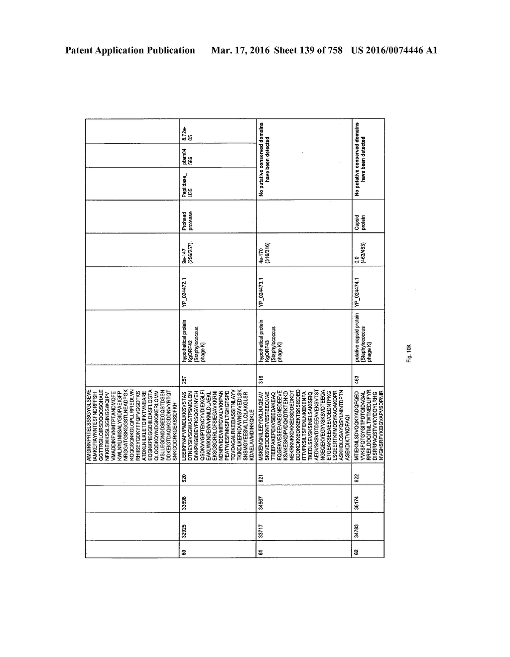 Antibacterial Phage, Phage Peptides And Methods Of Use Thereof - diagram, schematic, and image 140