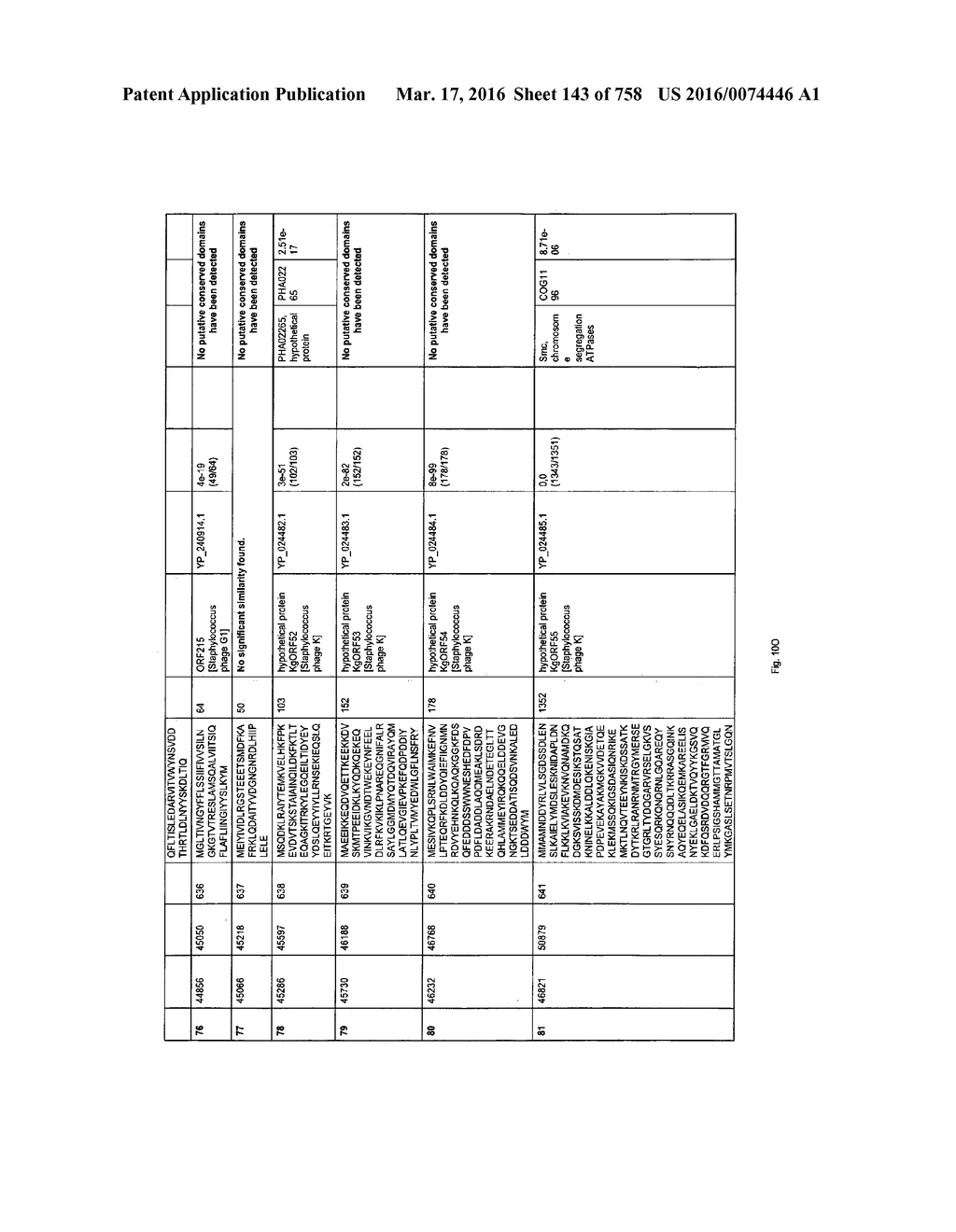 Antibacterial Phage, Phage Peptides And Methods Of Use Thereof - diagram, schematic, and image 144