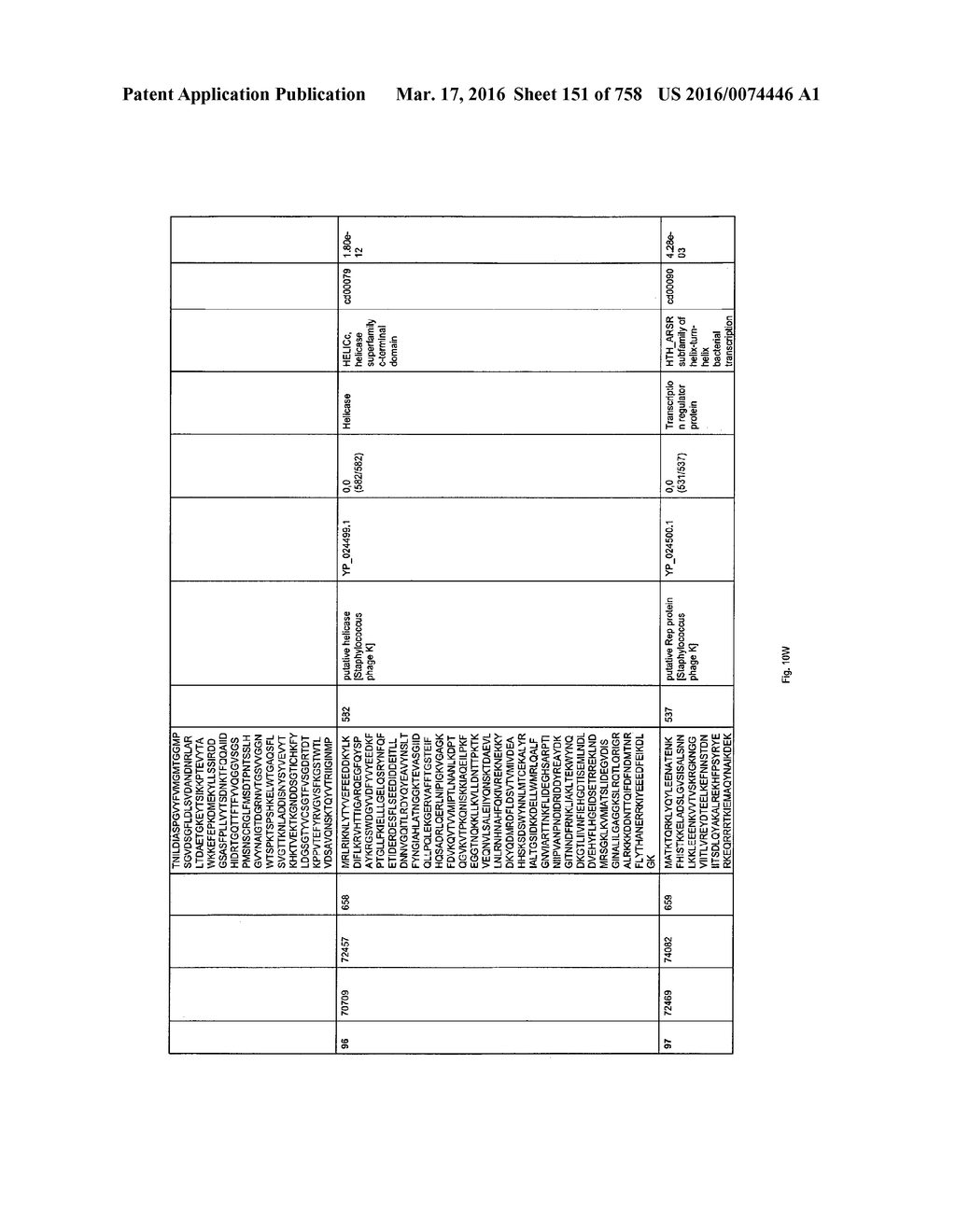 Antibacterial Phage, Phage Peptides And Methods Of Use Thereof - diagram, schematic, and image 152