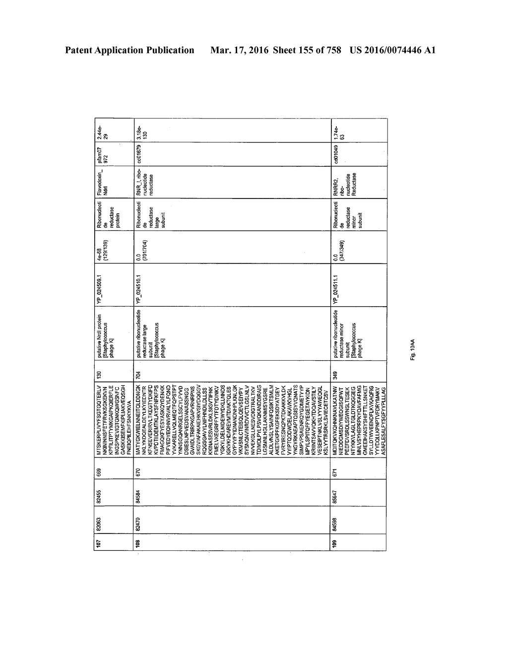 Antibacterial Phage, Phage Peptides And Methods Of Use Thereof - diagram, schematic, and image 156