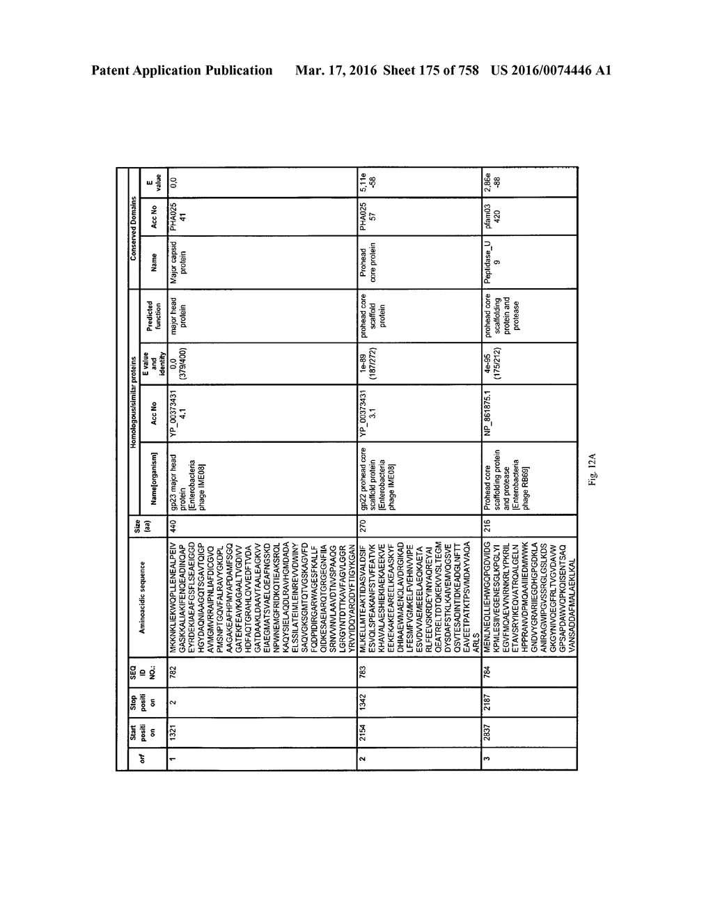 Antibacterial Phage, Phage Peptides And Methods Of Use Thereof - diagram, schematic, and image 176