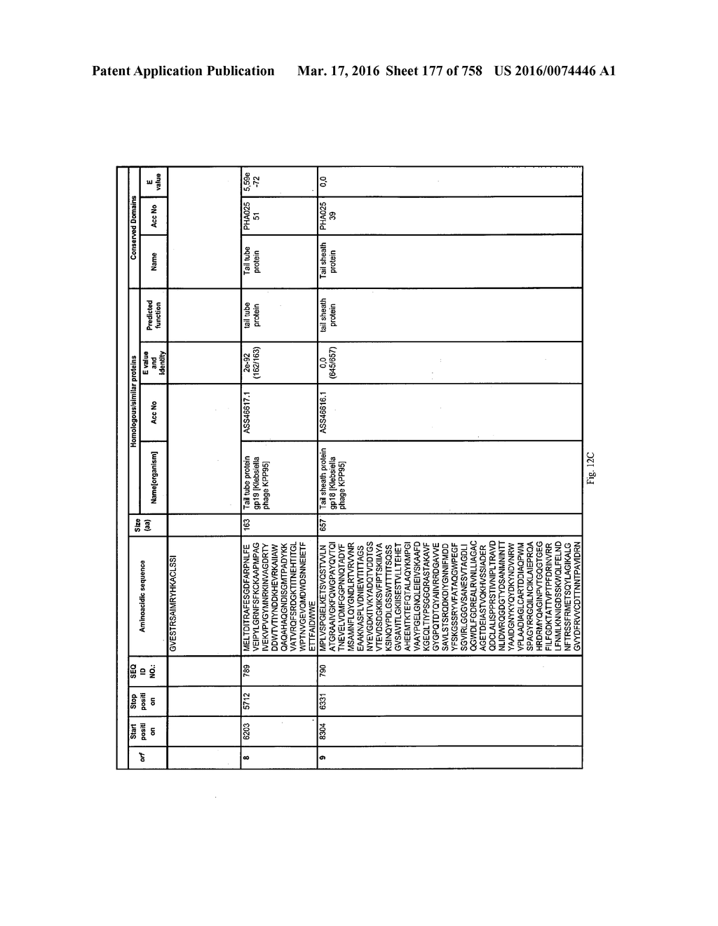 Antibacterial Phage, Phage Peptides And Methods Of Use Thereof - diagram, schematic, and image 178