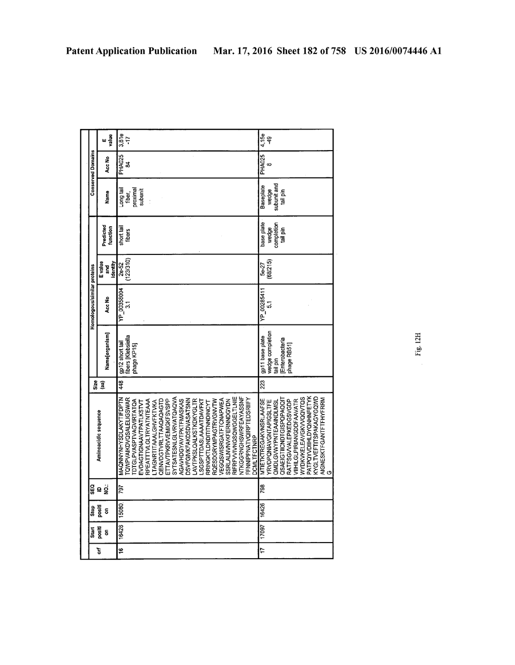 Antibacterial Phage, Phage Peptides And Methods Of Use Thereof - diagram, schematic, and image 183