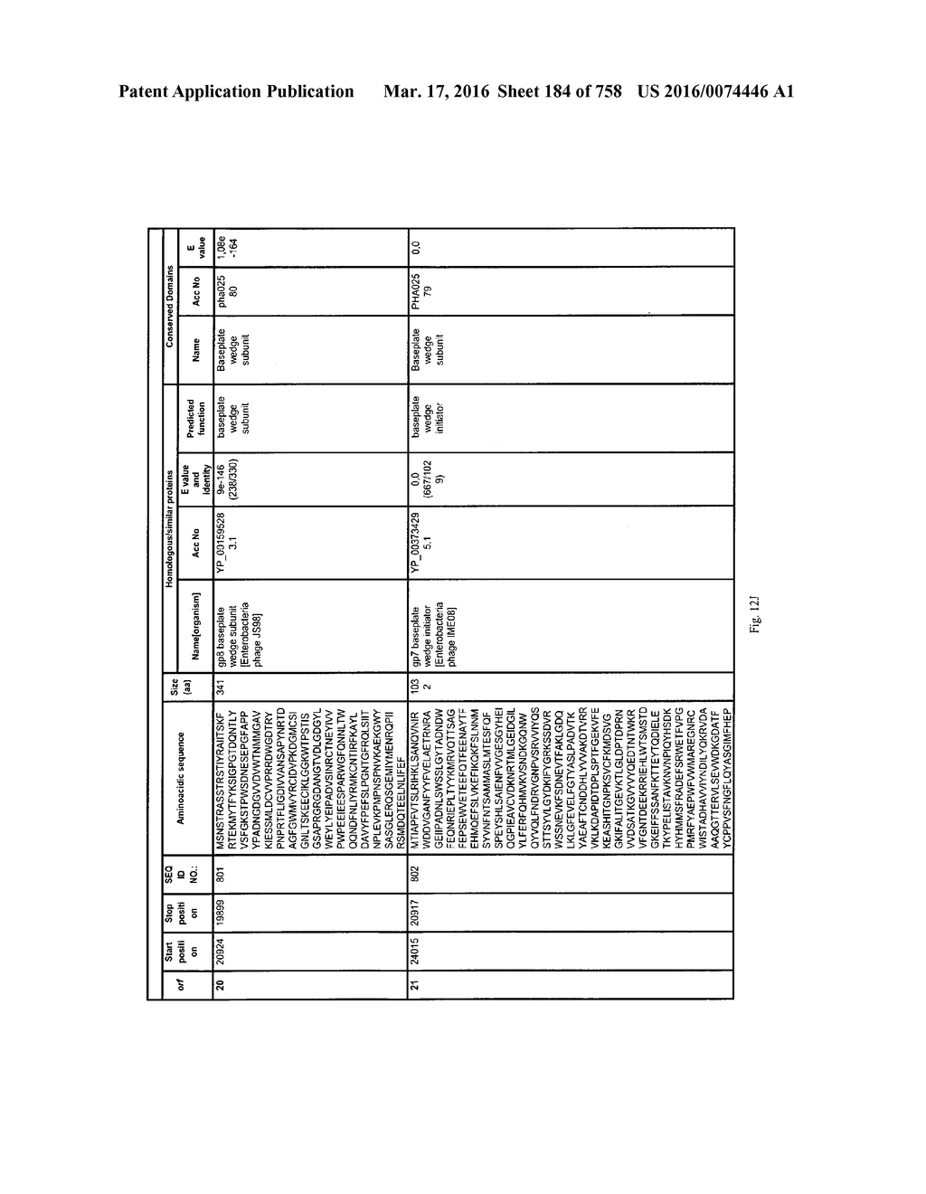 Antibacterial Phage, Phage Peptides And Methods Of Use Thereof - diagram, schematic, and image 185