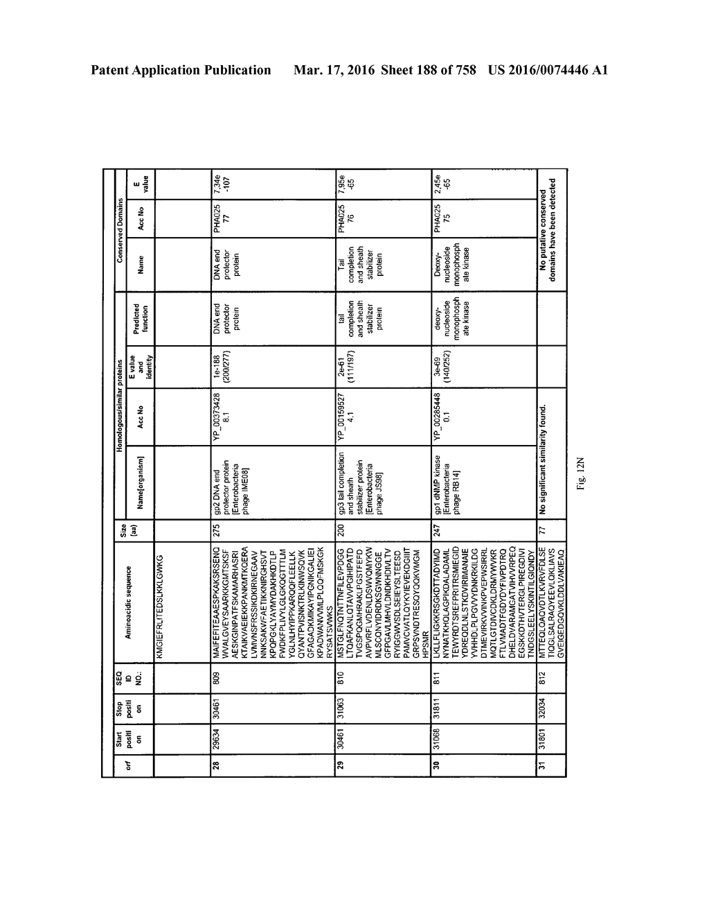 Antibacterial Phage, Phage Peptides And Methods Of Use Thereof - diagram, schematic, and image 189