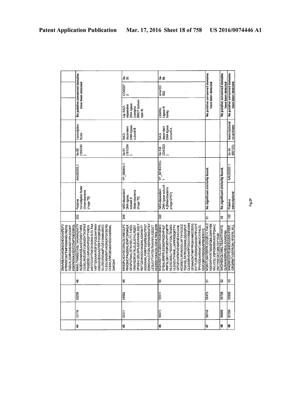 Antibacterial Phage, Phage Peptides And Methods Of Use Thereof - diagram, schematic, and image 19