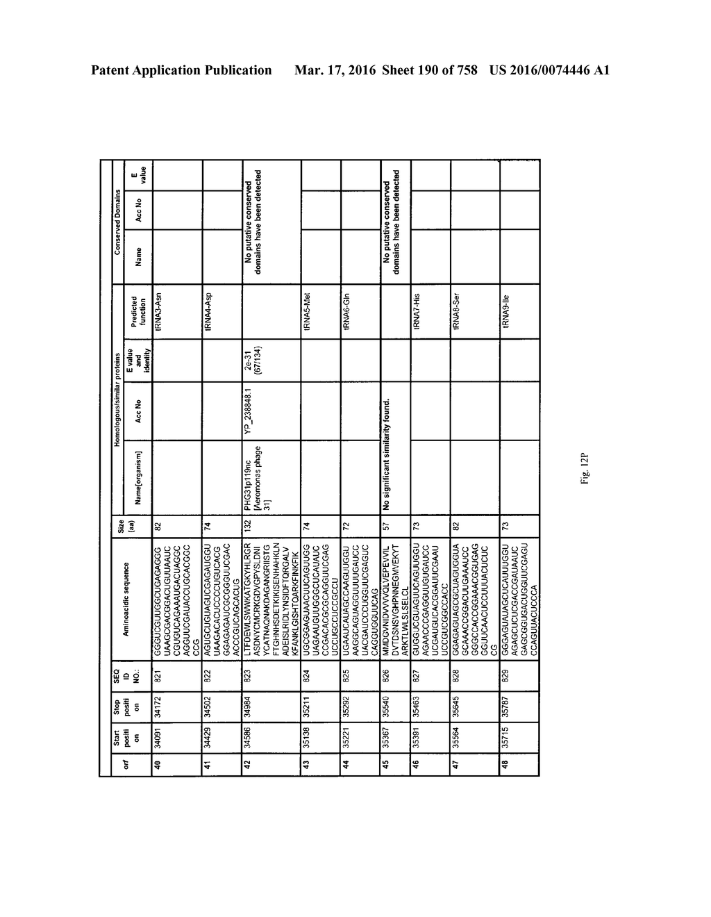 Antibacterial Phage, Phage Peptides And Methods Of Use Thereof - diagram, schematic, and image 191