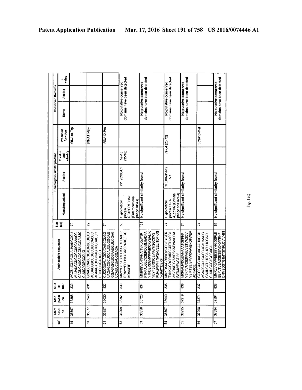 Antibacterial Phage, Phage Peptides And Methods Of Use Thereof - diagram, schematic, and image 192