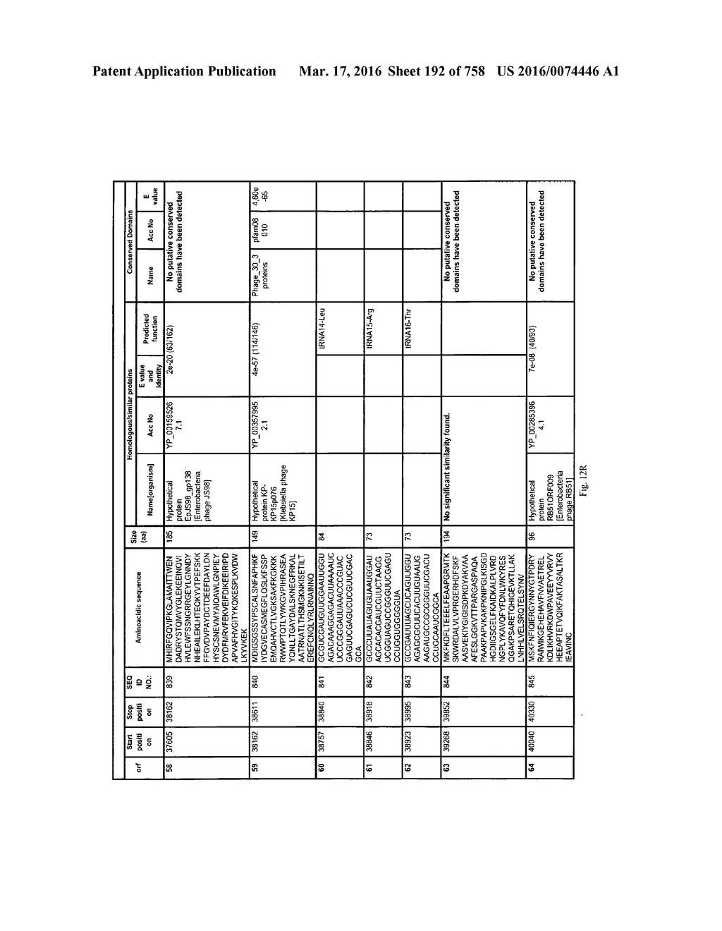 Antibacterial Phage, Phage Peptides And Methods Of Use Thereof - diagram, schematic, and image 193