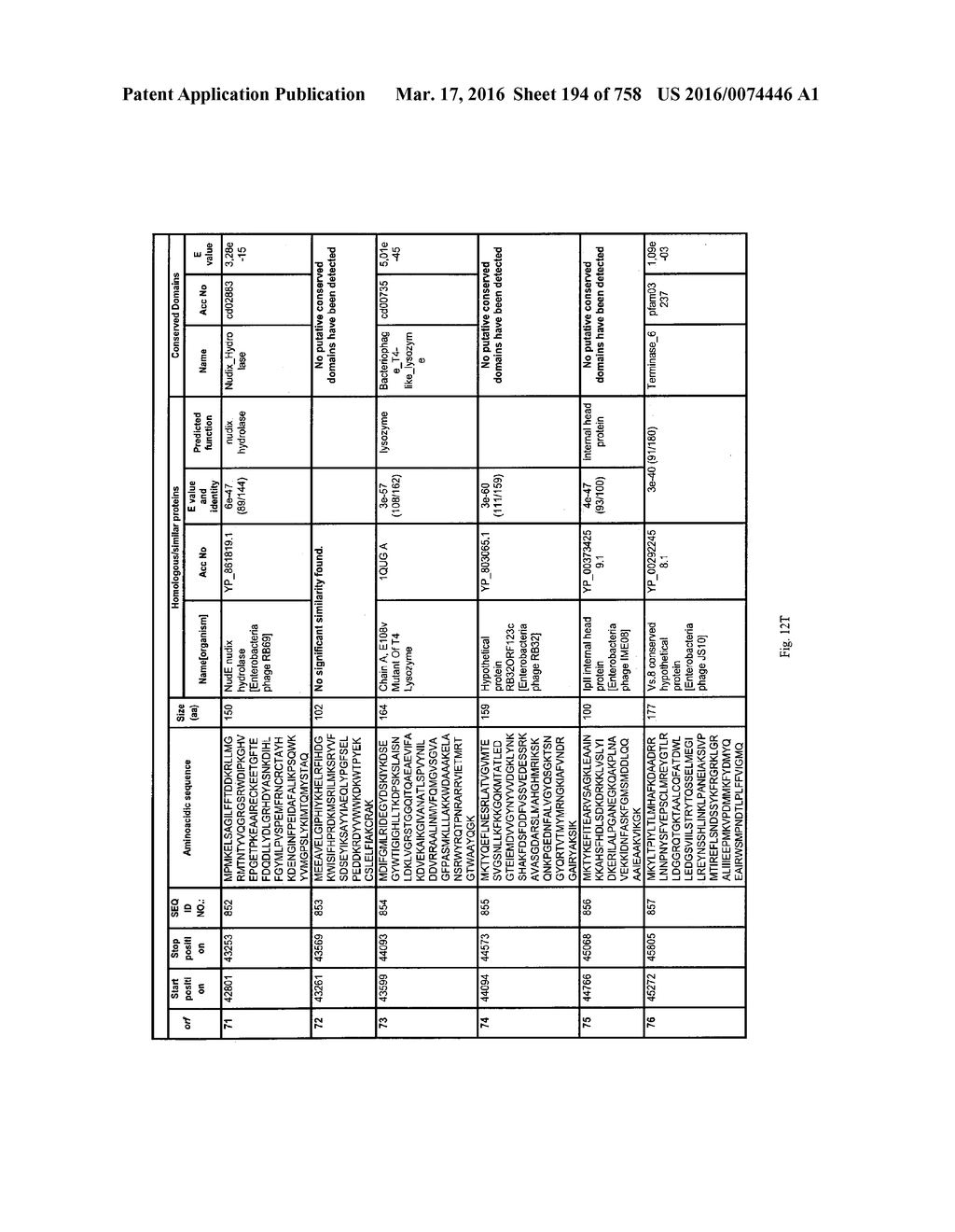 Antibacterial Phage, Phage Peptides And Methods Of Use Thereof - diagram, schematic, and image 195