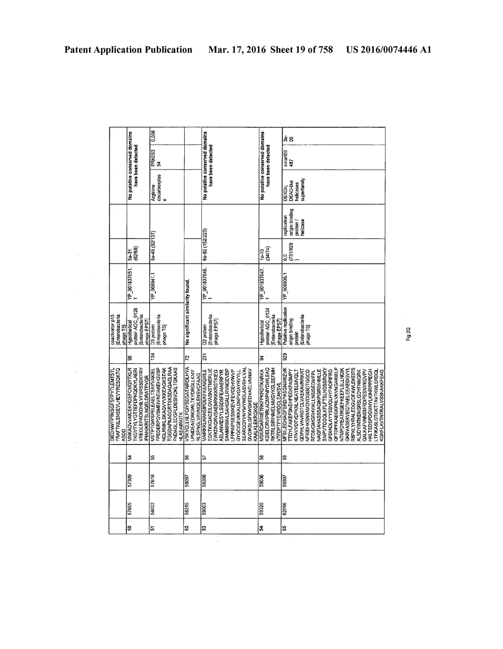 Antibacterial Phage, Phage Peptides And Methods Of Use Thereof - diagram, schematic, and image 20