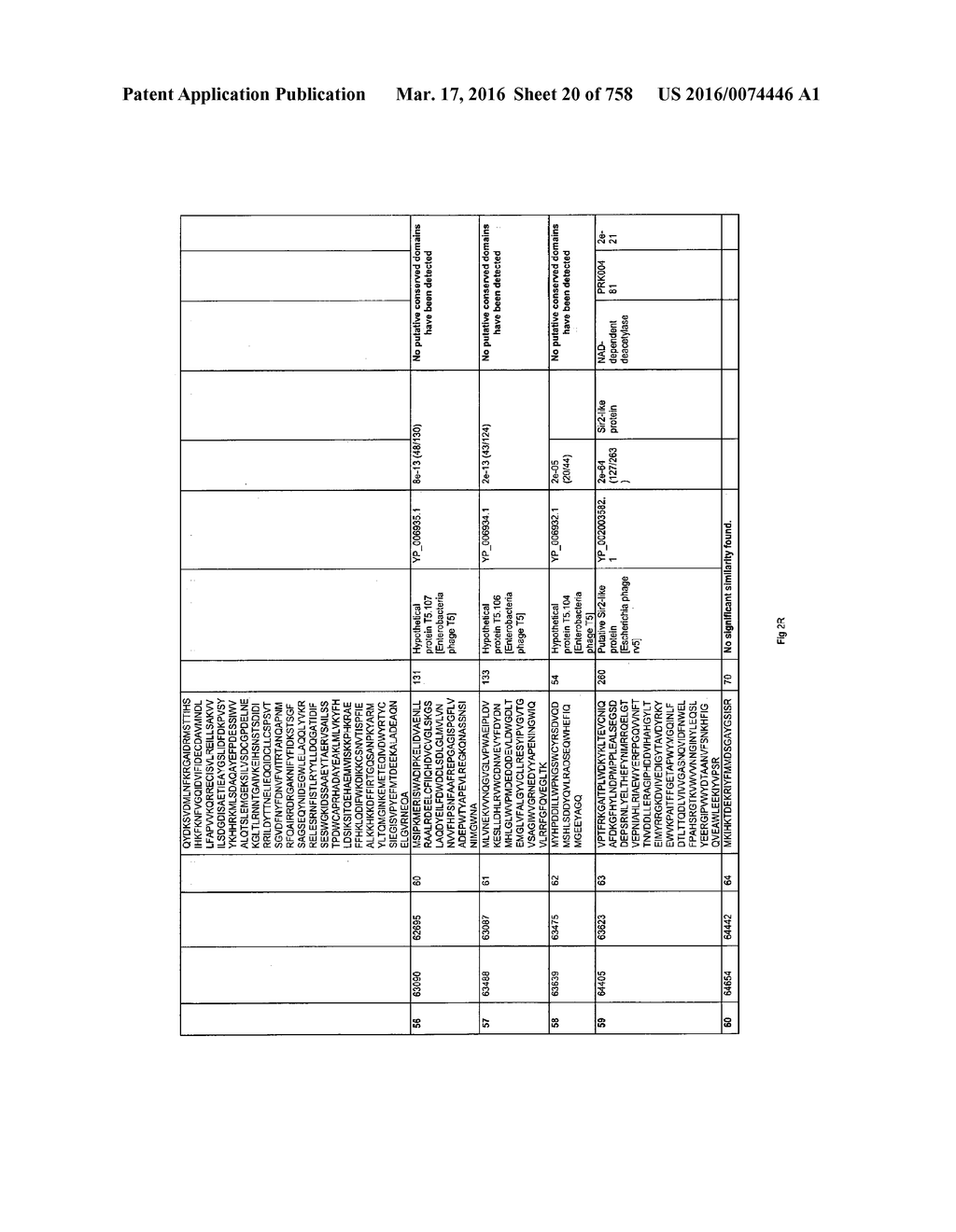 Antibacterial Phage, Phage Peptides And Methods Of Use Thereof - diagram, schematic, and image 21