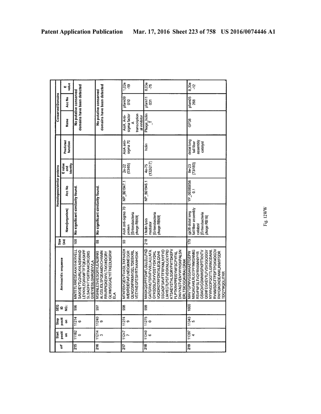 Antibacterial Phage, Phage Peptides And Methods Of Use Thereof - diagram, schematic, and image 224